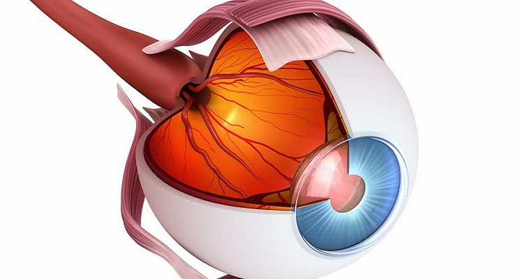 best retina clinic in surat